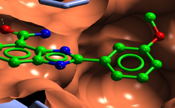 Drug development & Preclinical Trials